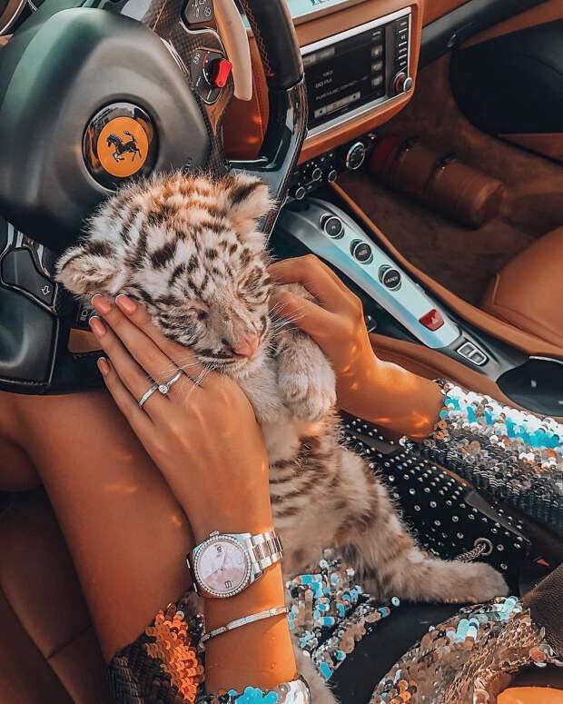 прикольные и интересные фото на pixmafia.com