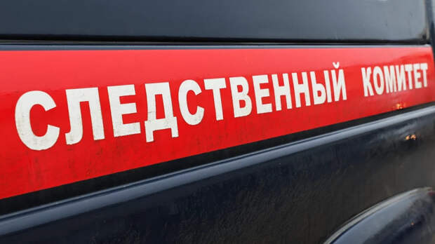 СК: в Липецке мать попыталась убить двух детей и покончить с собой