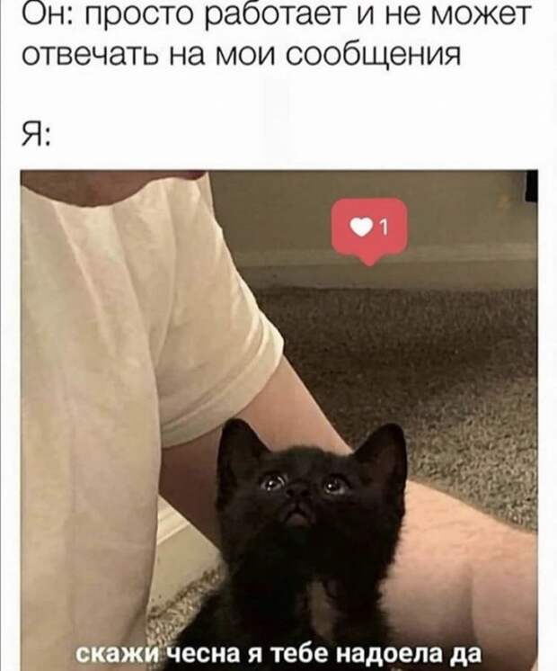 Лучшие мемы, истории и картинки из Сети