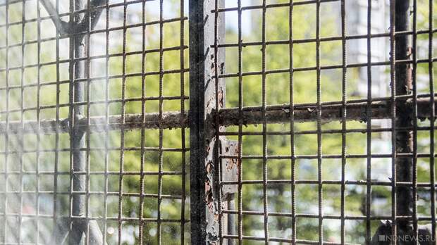 В Челябинской области задержали главу регионального управления Роспотребнадзора