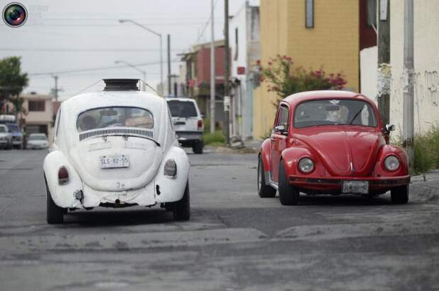 авто, дом на колесах, мексика, vw, beetle