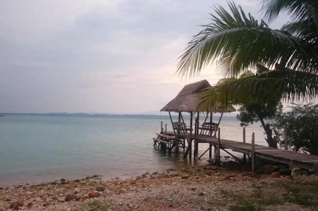 Во время отпуска в Таиланде у россиянки в ухе поселился муравей