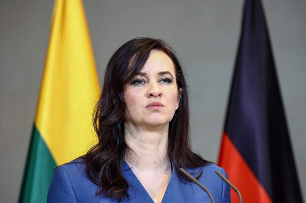 В Литве выбрали переговорщика для диалога с Белоруссией