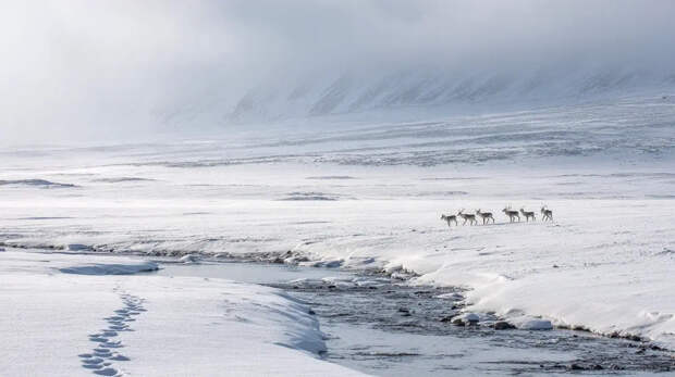 На Камчатке во время экскурсии потерялись восемь туристов с детьми
