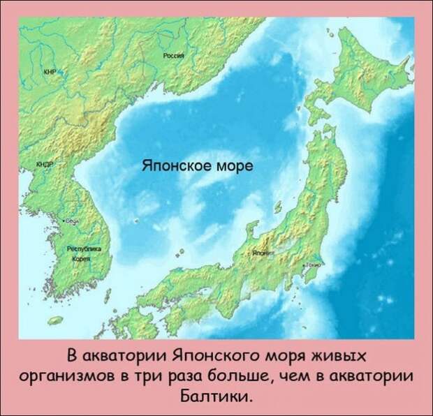 Интересные факты (20 фото)