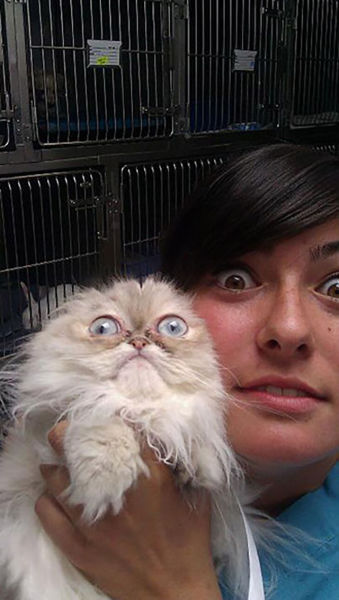Pets Really Don’t Enjoy Visits to the Vet