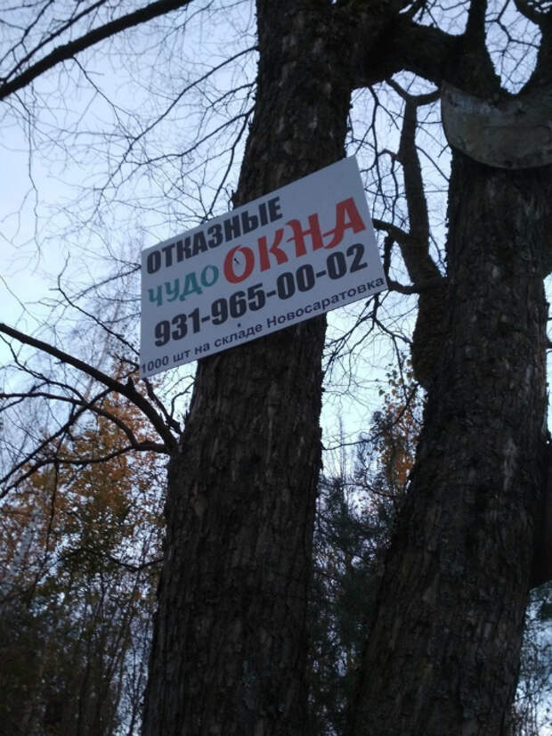 Окна-сироты ждут вас! Окна-сироты ждут вас!