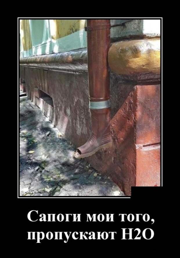Демотиваторы (30 фото)
