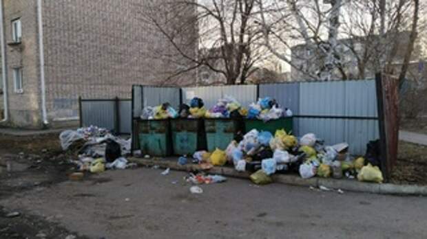 Фотография из регионального Telegram-чата