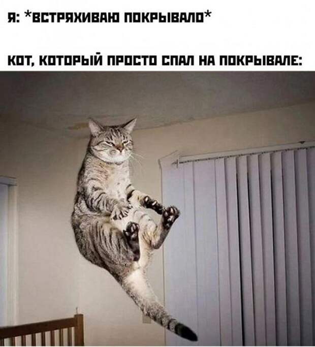 Новые мемы на сегодня