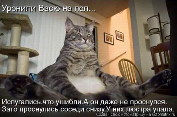 Котоматрицы (картинки с надписями)