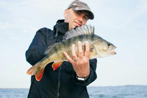 Рыбакам из Астрахани рассказали, какую пойманную рыбу нужно обязательно закопать