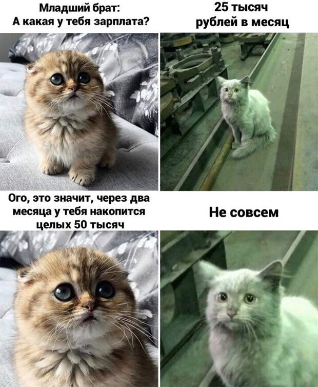 не совсем