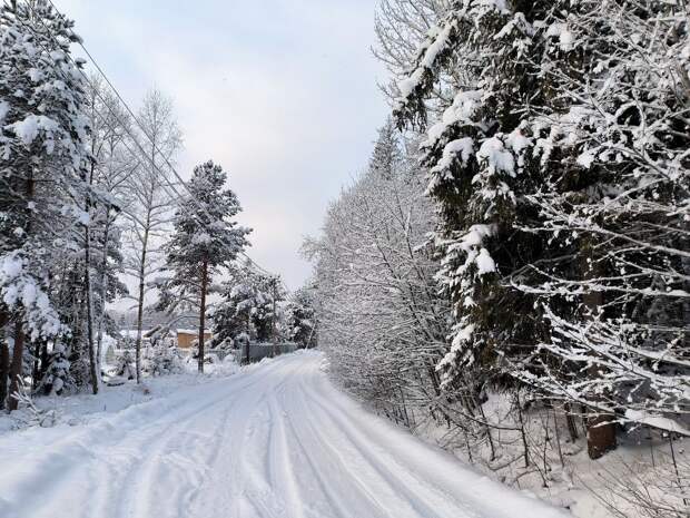 В Тюменской области за 2025 год было ликвидировано 73 незаконных свалки