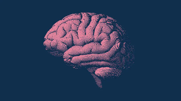 Как питание может отодвинуть старение мозга на 2,5 года