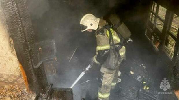 Пожар в заброшенном доме / Фото: ГУ МЧС России по Алтайскому краю