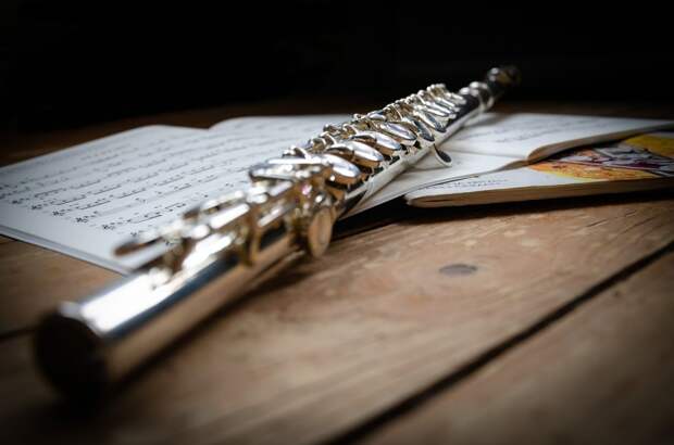 На специальности «Флейта» и «Гитара» могут записаться как дети, так и взрослые/pixabay.com