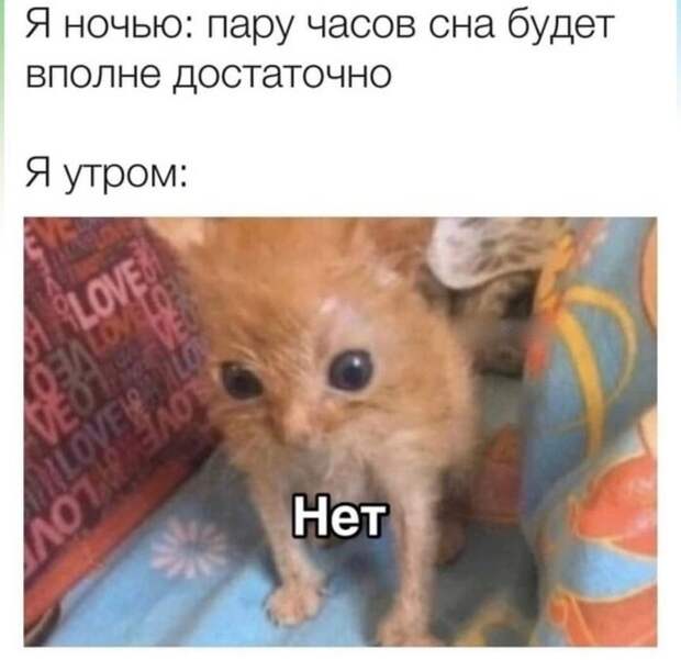 Понедельник, и как его пережить Понедельник, и как его пережить