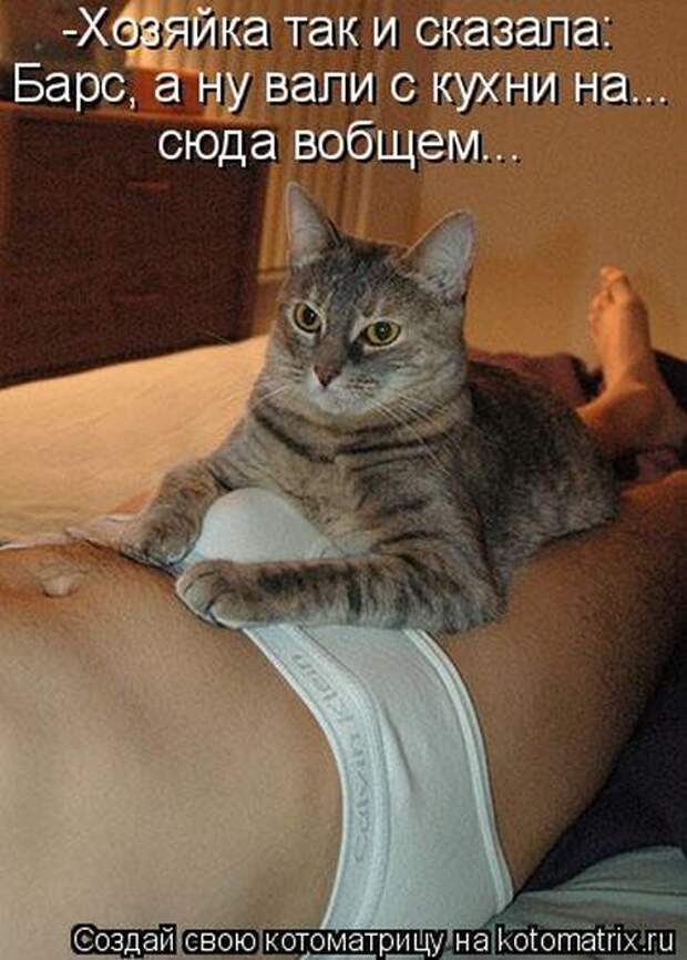 1410004698_1111 (501x700, 64Kb)