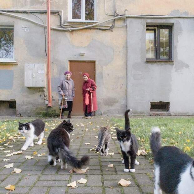 30 работ фотографа Дмитрия Маркова, в которых показан весь колорит и российская действительность 