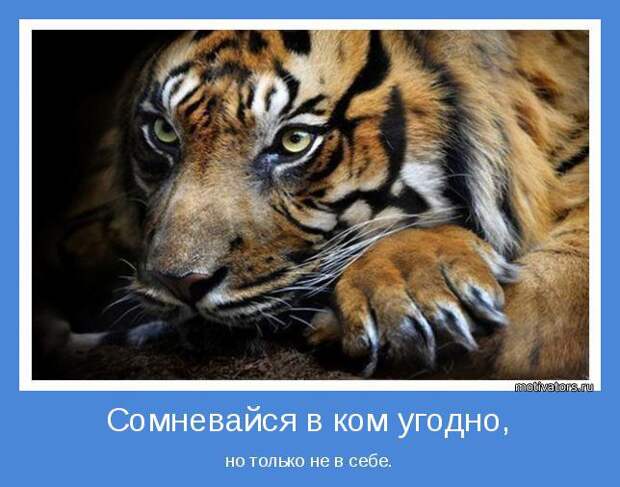 Сборник мотиваторов июля