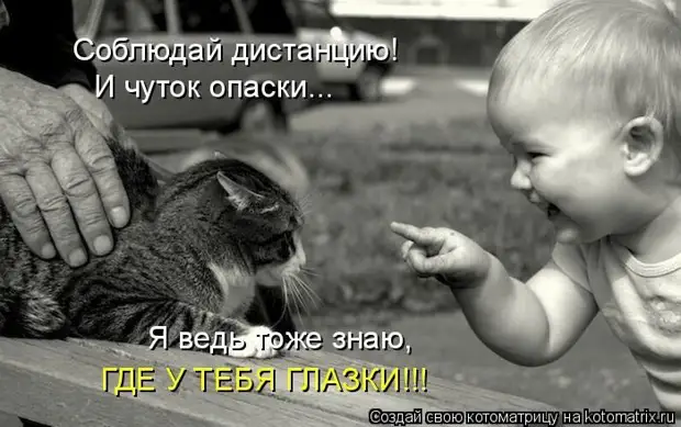 Лучшие котоматрицы