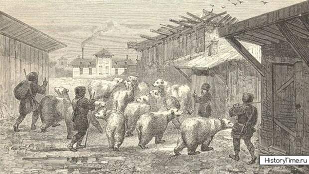 Русские пастухи гонят стадо медведей через деревню - рисунок иностранца побывавшего в России в середине XIX века и позже выпустившего книгу воспоминаний о своём путешествии, 1862 год..jpg