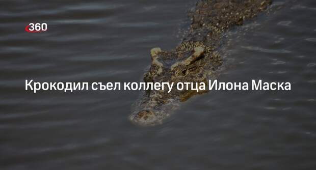Крокодил съел коллегу отца Илона Маска