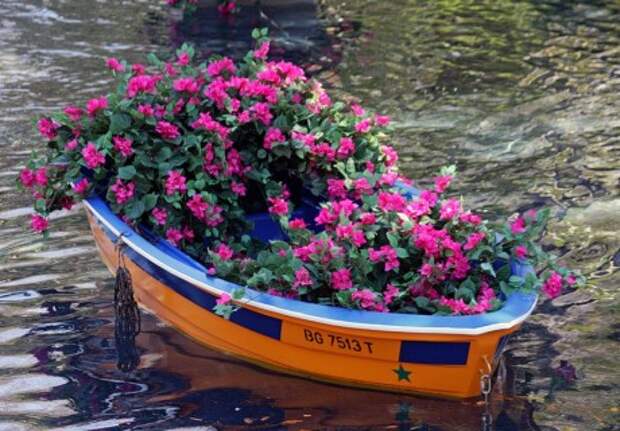 прекрасная идея: цветник в пришвартованной лодке 