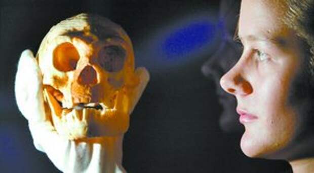 Обнаружен скелет женщины-хоббита
