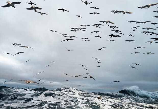 Схватка сурового севера и рыбаков. Фотопроект американского фотографа и профессионального рыбака Кори Арнольда в одном лице