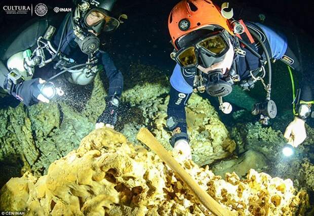 В подводных пещерах Мексики нашли уникальные артефакты цивилизации майя водолазы, древний человек, интересное, мир, находка, останки, скелет, фото