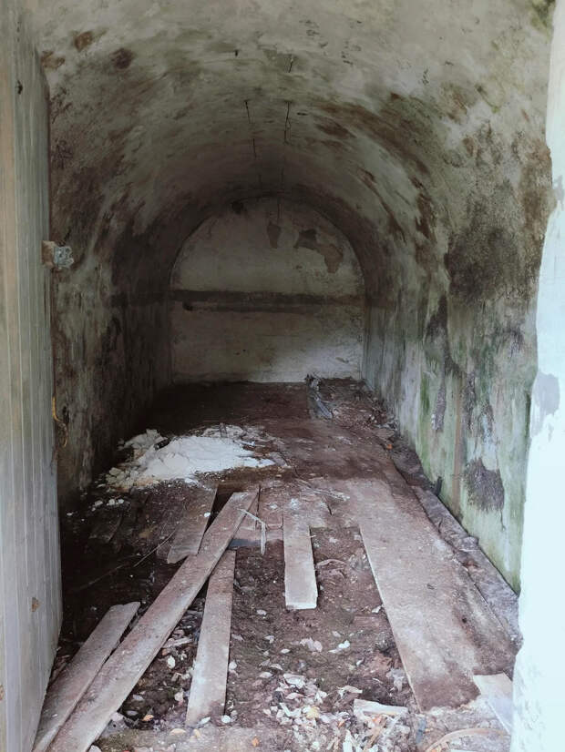 Источник фото: Reddit