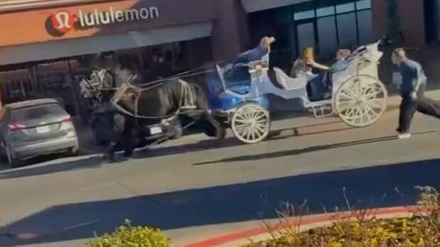 В Техасе произошла авария с участием конной кареты