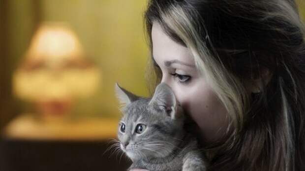 Новая жизнь