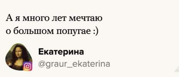 Люди рассказали, какой подарок они хотят получить в Новый год