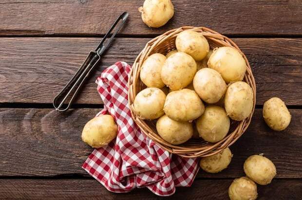 Реабилитация картошки. Правдивы ли легенды о вреде популярного корнеплода?