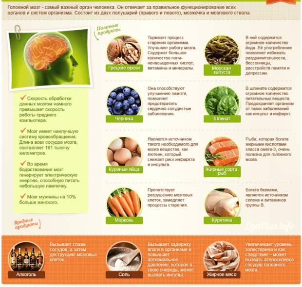 15 продуктов, в которых себе лучше не отказывать