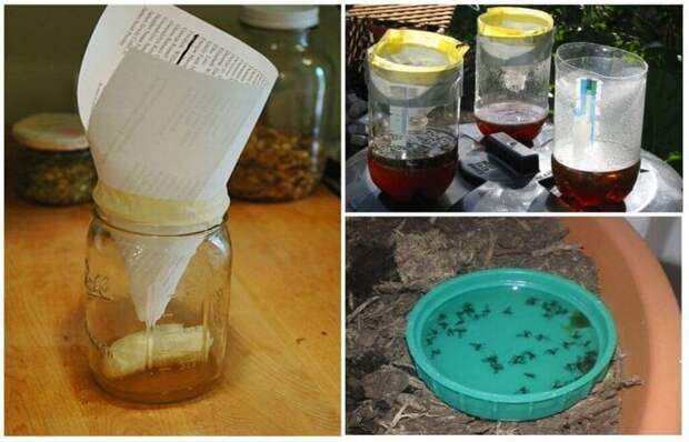 8 эффективных средств, которые помогут избавиться от мух дома
