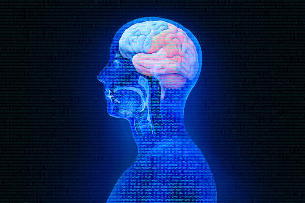 STM: прозрачный имплант позволил собирать данные о мозге пациента новым способом