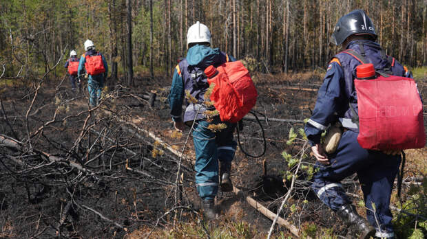 Без результатов? Спасатели завершили очередной этап поисков пропавшей семьи Усольцевых