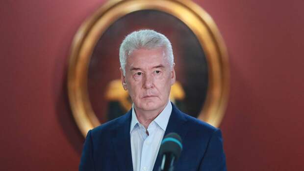 Собянин сообщил об уничтожении одного летевшего на Москву беспилотника