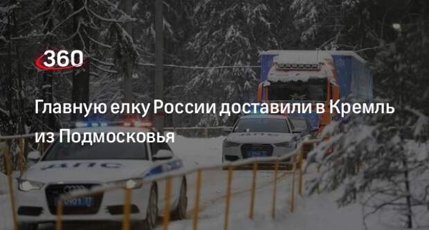 Главную елку России привезли в Москву из Волоколамского городского округа