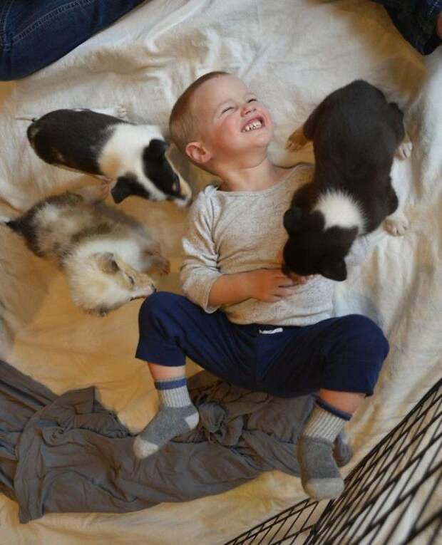 https://lemurov.net/wp-content/uploads/2018/03/32-1.jpg