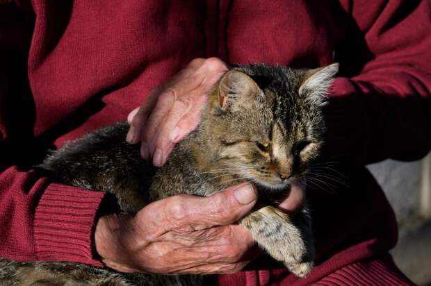 20 февраля: какой сегодня день