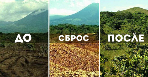 Фотоколлаж: трансформация ландшафта в национальном парке Гуанакасте до и после эксперимента