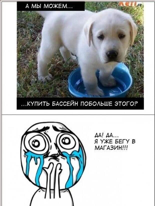 Миксприколы Миксприколы