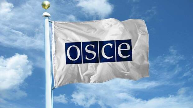 Постпред России назвал выступления Украины, США и Евросоюза в ОБСЕ цирком