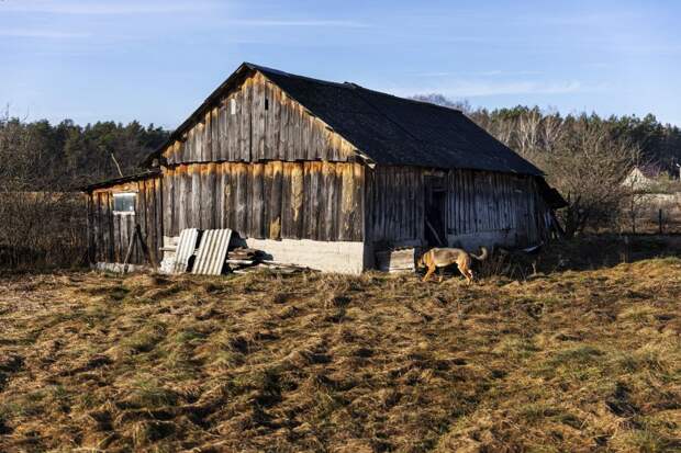 С апреля вводятся новые правила для тех, у кого на участке баня или сарай