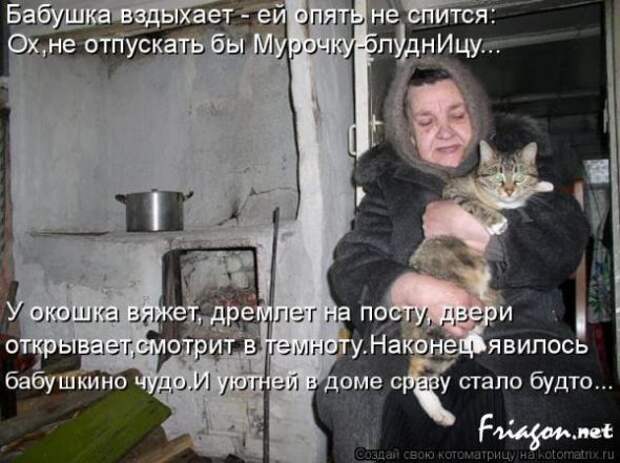 Котоматрица про Любовь